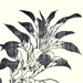 Seian Takebe Gallery